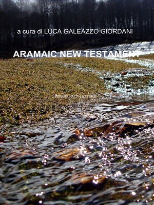 cover image of Nuovo testamento ebraico-francese